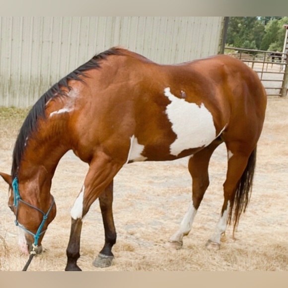 Meet your Posher, Lisa - Picture 2 of 4